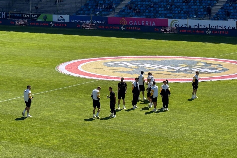 Die Dynamos begutachten den Rasen.