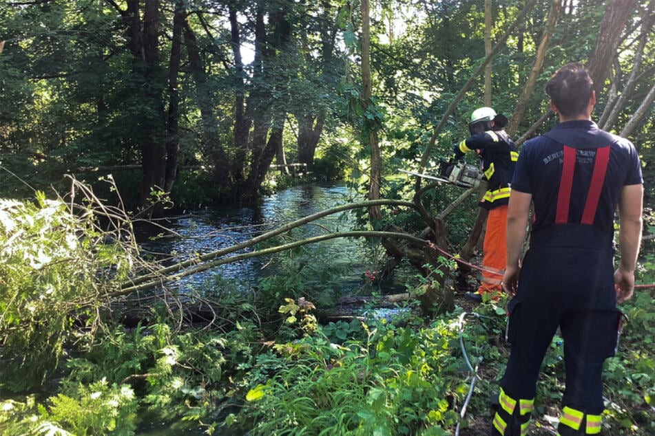 Feuerwehrleute trennten Äster mit Kettensägen ab, um die umgestürzten Bäume zu befreien.