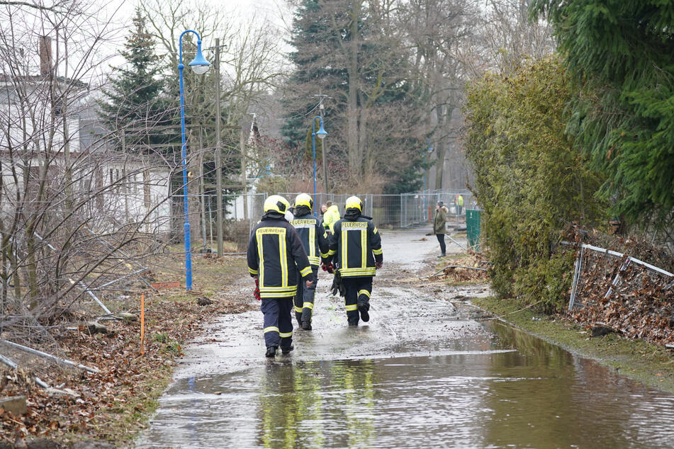 Feuerwehrleute bahnen sich den Weg durch den überschwemmten Uferabschnitt. Auch tote Fische liegen am Wegesrand.