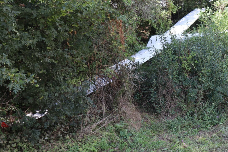 Bruchlandung in Baum: Flugzeug im Landeanflug verunglückt