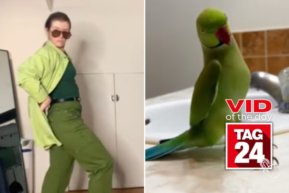 viral videos: Viral Video of the Day for May 3, 2024: TikTok influencer gets bird brain dance inspo