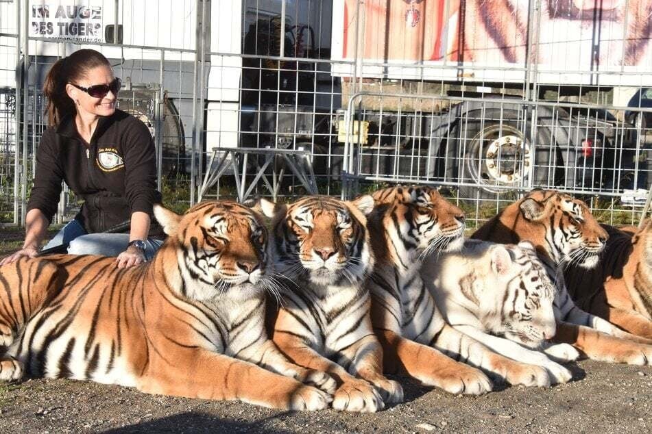 Carmen Zander soll eine enge Bindung zu ihren Tieren haben und sie möchte sie nicht abgeben. (Archivbild)
