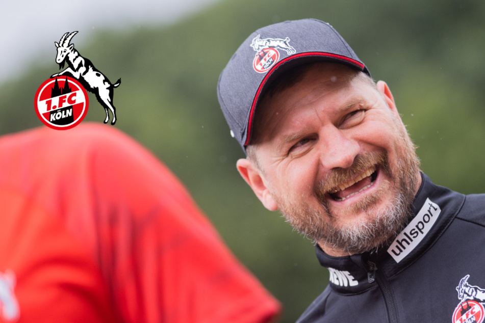 1. FC Köln zurück: Trainer Baumgart spricht über künftigen Kader und Modeste!