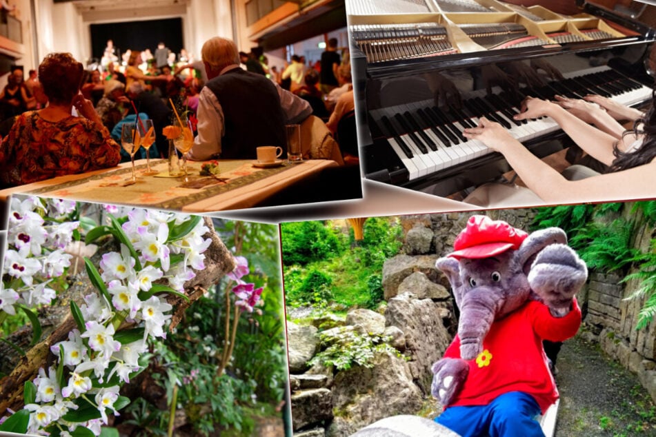 Dresden: 6 Erlebnis-Tipps für Deinen perfekten Sonntag!