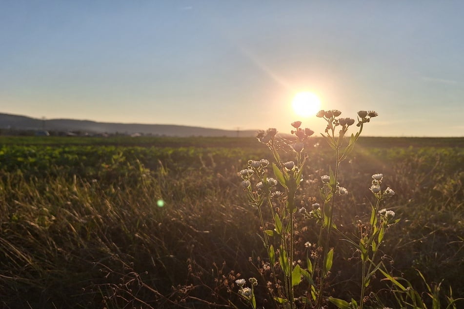 So soll das Wochenend-Wetter in Thüringen werden!