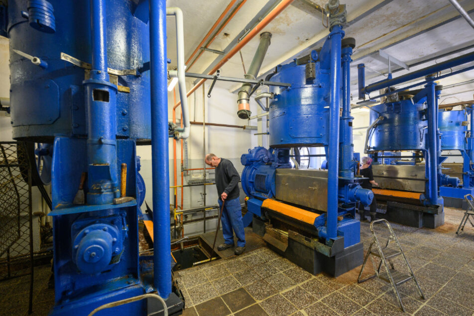 Blick in die Lausitzer Ölmühle - mit diesen Maschinen wird das Leinöl gepresst.