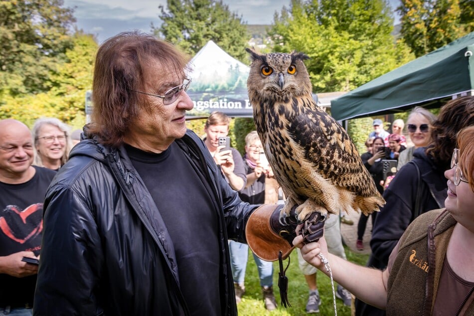 Dieter "Maschine" Birr (82) zeigt sich vom Europäischen Uhu "Gretel" fasziniert.