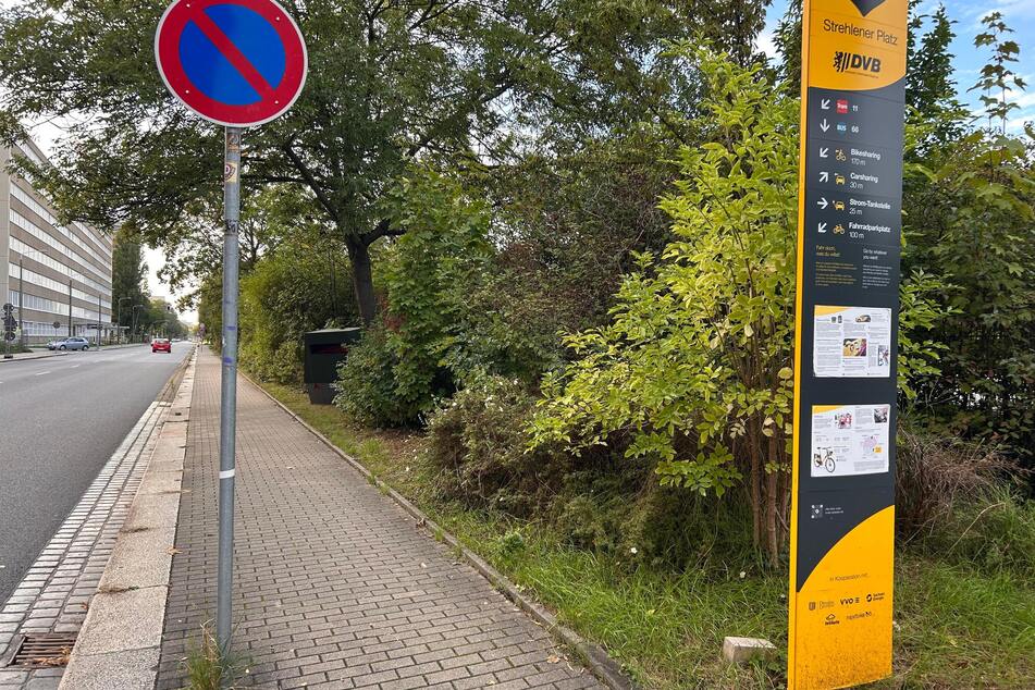 Direkt hinter der Haltestelle steht der Superblitzer gut getarnt im Gebüsch.