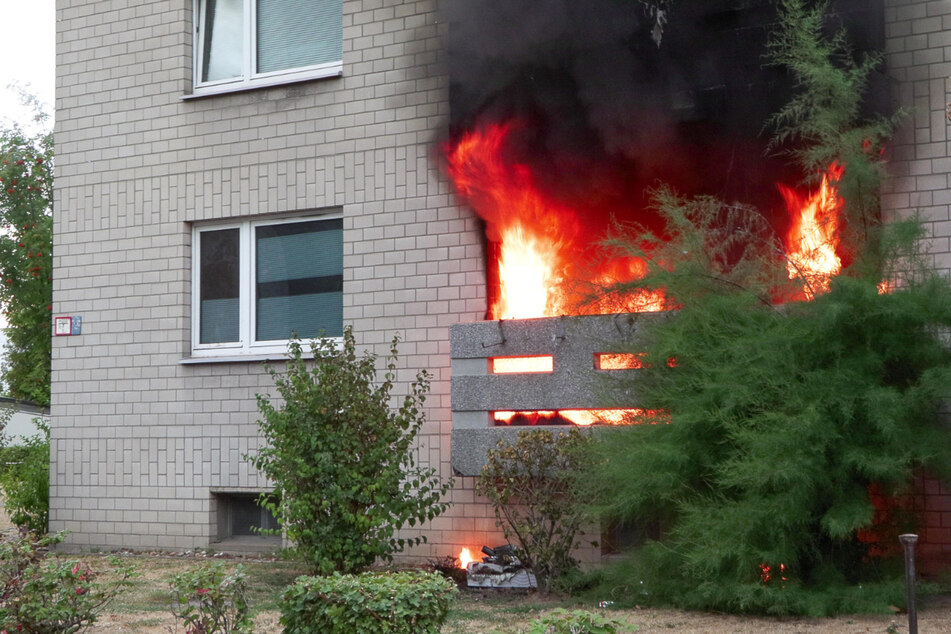 Flammen wüten in Düsseldorfer Wohnung: Bewohner retten sich ins Freie