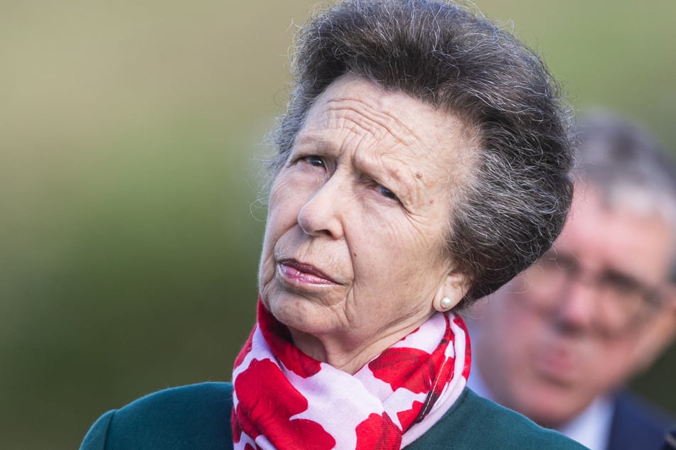 Britain's Princess Anne has revealed that she has no memory of her frightening horse accident last summer, which left her with a severe concussion.