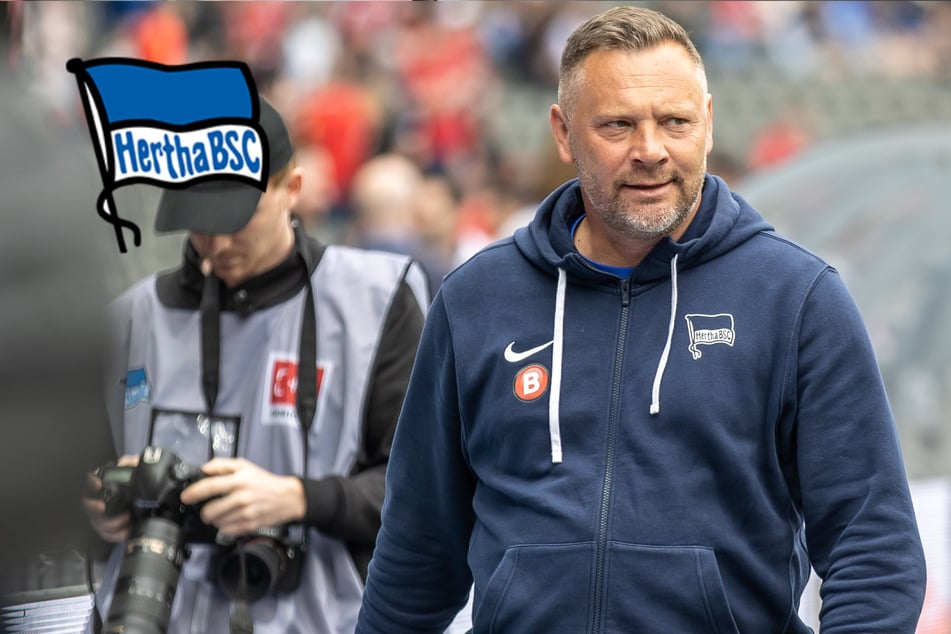 Kommentar: Dardai-Aus Chance und Risiko, aber wer soll Hertha jetzt noch retten?