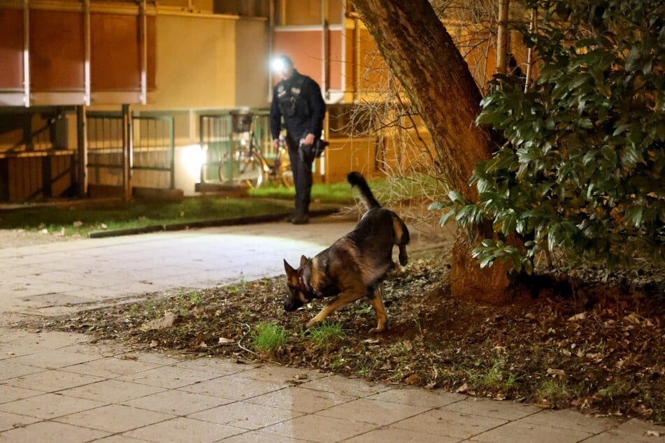 Auch ein Fährtenspürhund kam zum Einsatz.