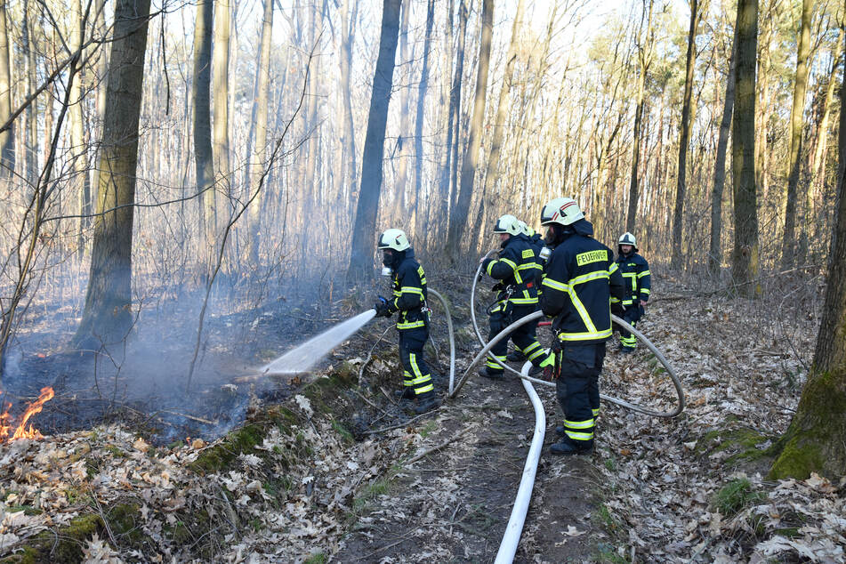 In Neukirchen bei Chemnitz brannten am Samstag mehrere hundert Meter Wald- und Wiesenflächen.