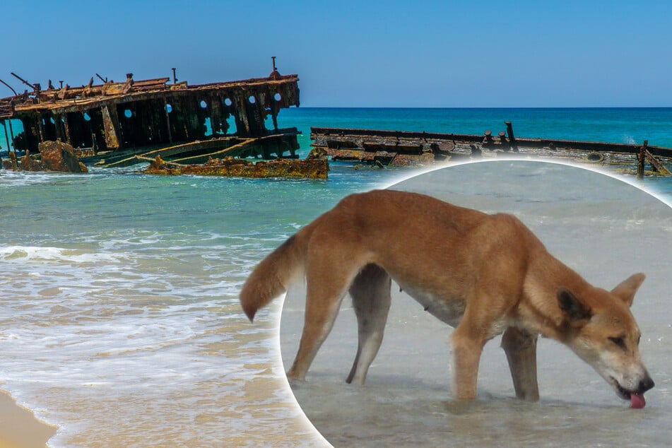 Traumreise endet tödlich: 19-Jährige stirbt mysteriös bei Backpacking-Abenteuer