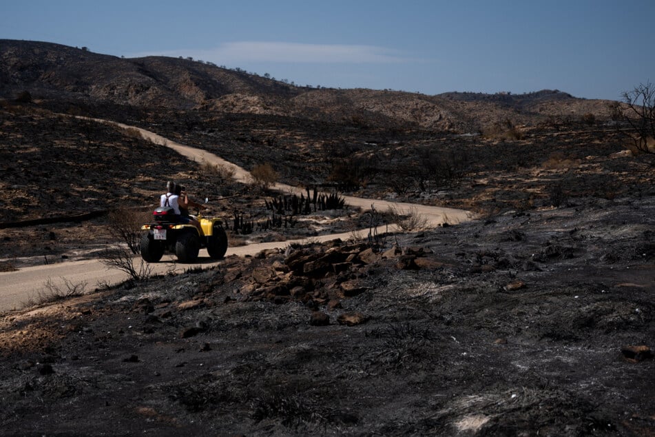 Nach verheerendem Waldbrand: Zahl der Toten auf 13 gestiegen
