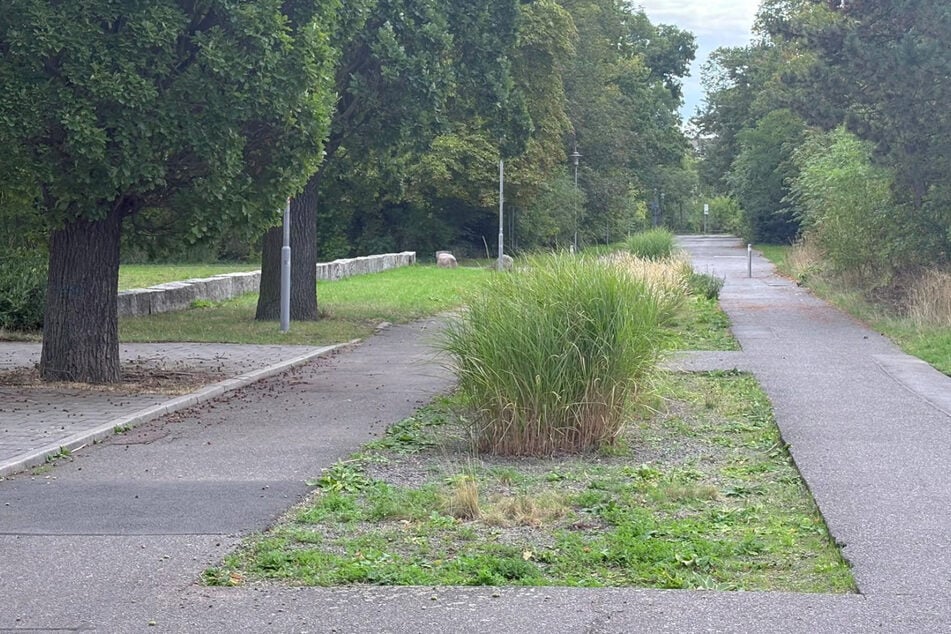 Leipzig: Dreister Überfall in Leipziger Park! Rollstuhlfahrer (66) von Teenager-Trio ausgeraubt