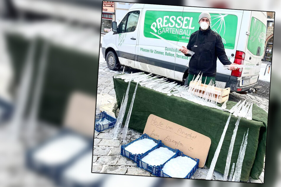 Zu kalt für Obst und Gemüse: Gärtnerei verkauft Eiszapfen auf Wochenmarkt