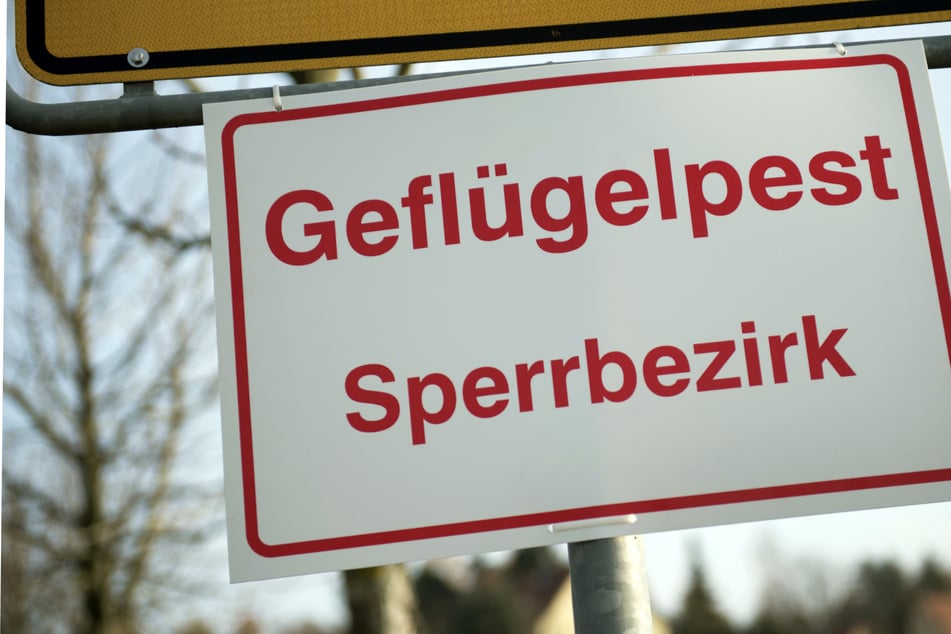 In einigen Ortschaften wurden Sperrzonen eingerichtet. (Symbolbild)