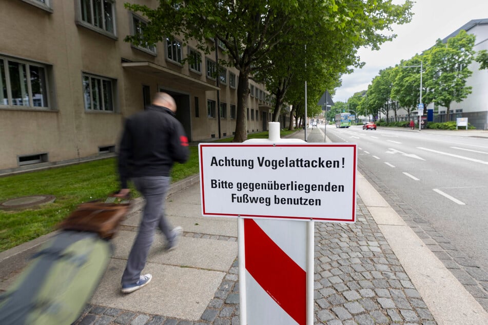 So warnt der Landtag Passanten an der Devrientstraße vor den aggressiven Krähen.