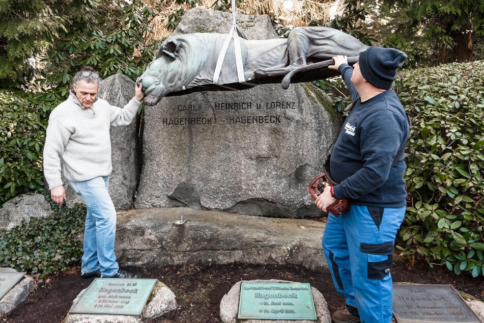 Der Bildhauer Michael Kaul (l) hebt einen neuen Bronzelöwen auf das Fundament am Familiengrab der Familie Hagenbeck.