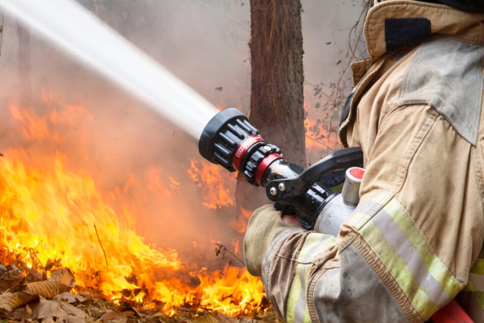 In der Nacht auf Donnerstag mussten die Feuerwehren zu gleich mehreren Waldbränden ausrücken. (Symbolbild)
