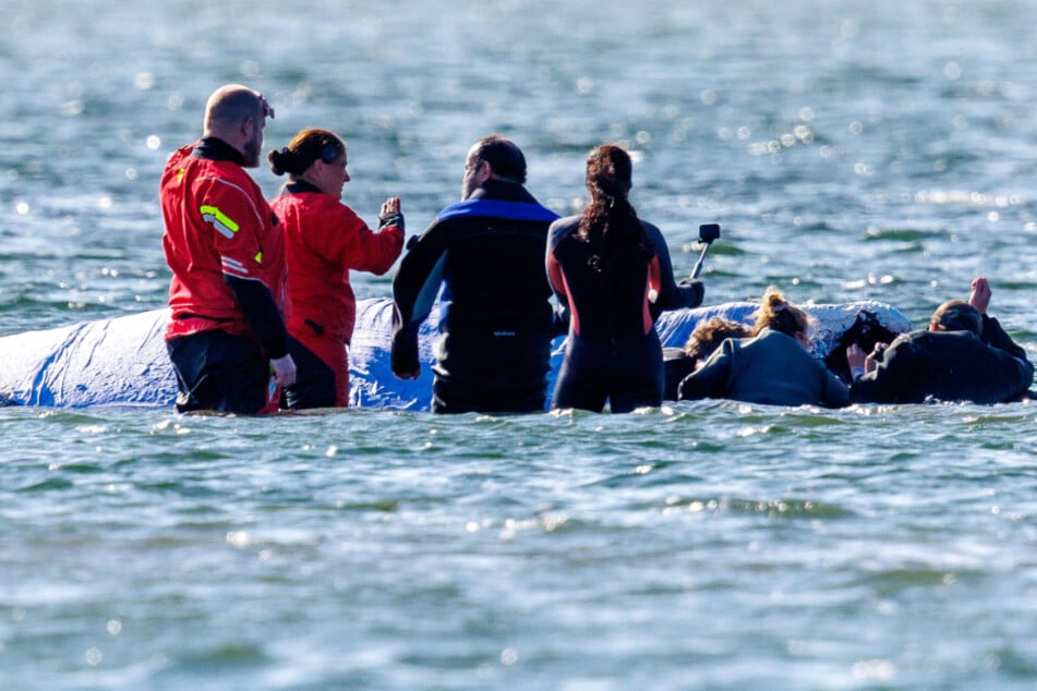 Die Mitglieder der privaten Rettungsinitiative versuchen weiterhin, Buckelwal "Timmy" lebend zurück in den Atlantik zu bringen.
