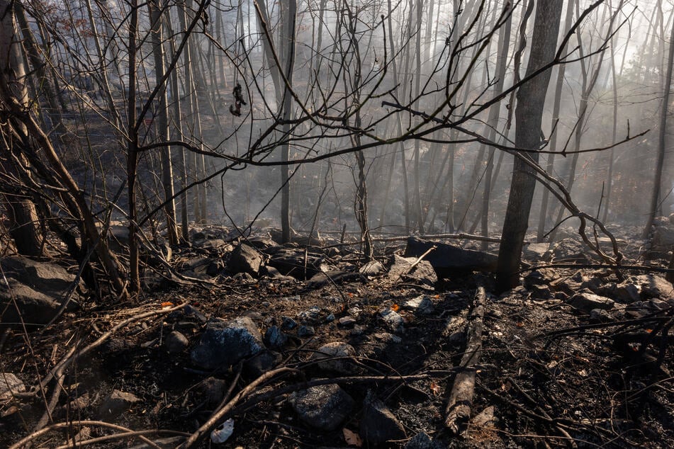 Burnt and smoldering trees sit along a highway as firefighters battle a series of brush fires on Saturday outside of Pompton Lakes, New Jersey.