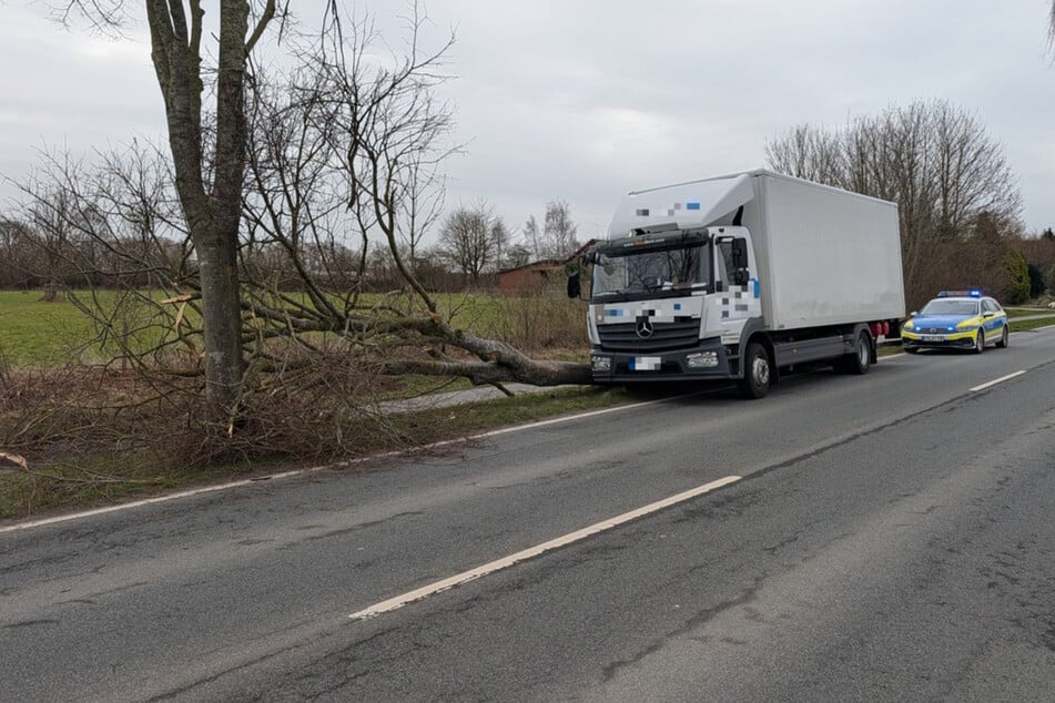 Der Lkw-Fahrer prallte beim Ausweichen des Sattelzugs gegen einen Baum.