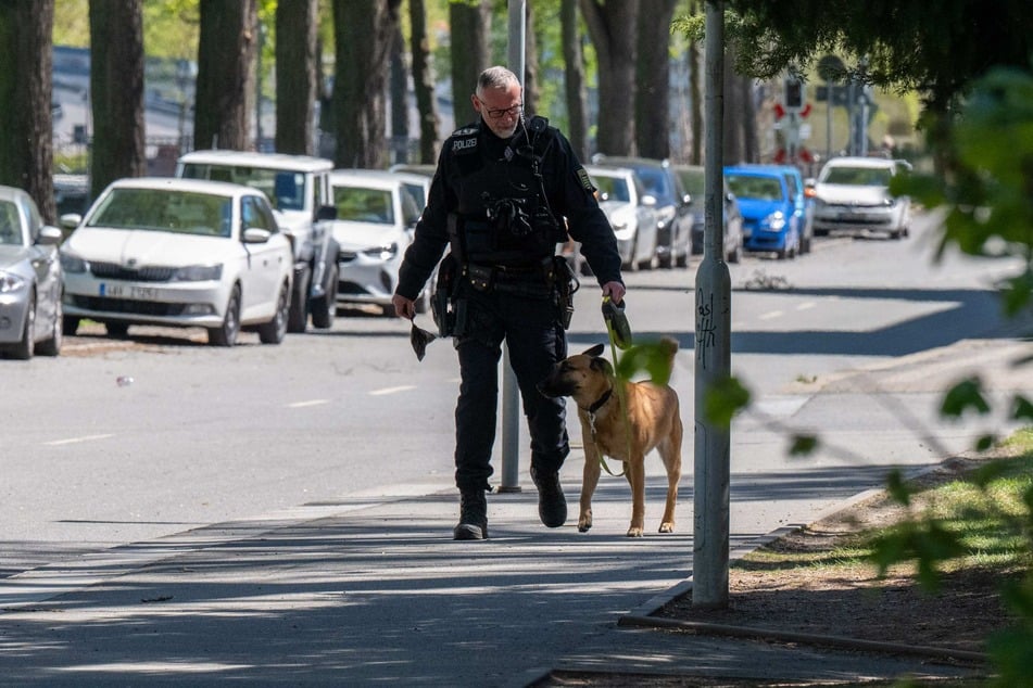 Zur Unterstützung wurde auch ein Sprengstoffspürhund eingesetzt.