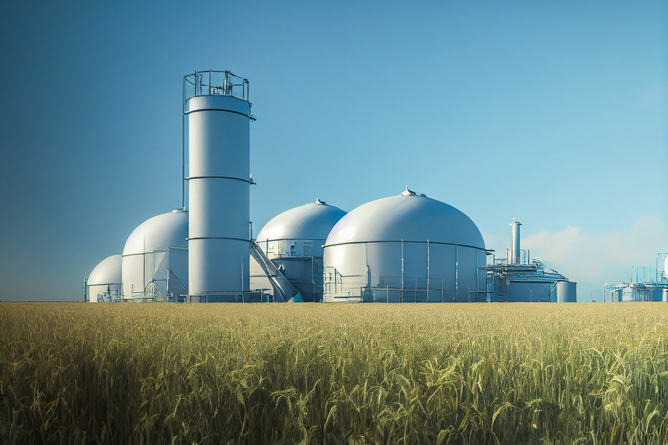 Biomasse hat die naturverträgliche Grenze in Deutschland erreicht. In Sachsen wächst auf etwa 13 Prozent (2020) der Ackerflächen Silomais.