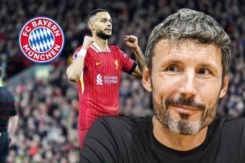 Gakpo zum FC Bayern? Van Bommel führt ganz speziellen Pluspunkt an