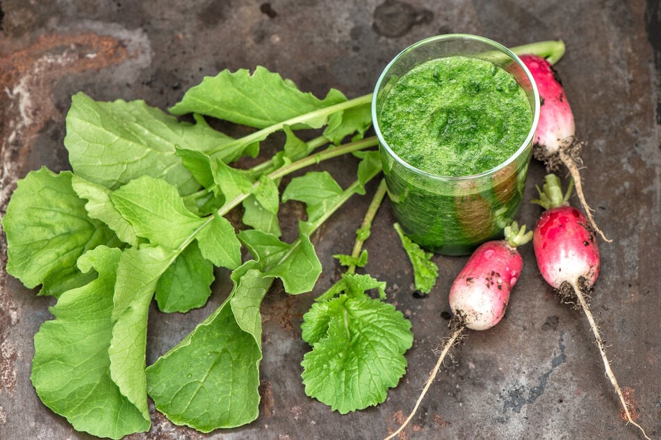Die Blätter von Radieschen schmecken als Pesto oder Aufstrich, in Smoothies, Suppen und Salaten.