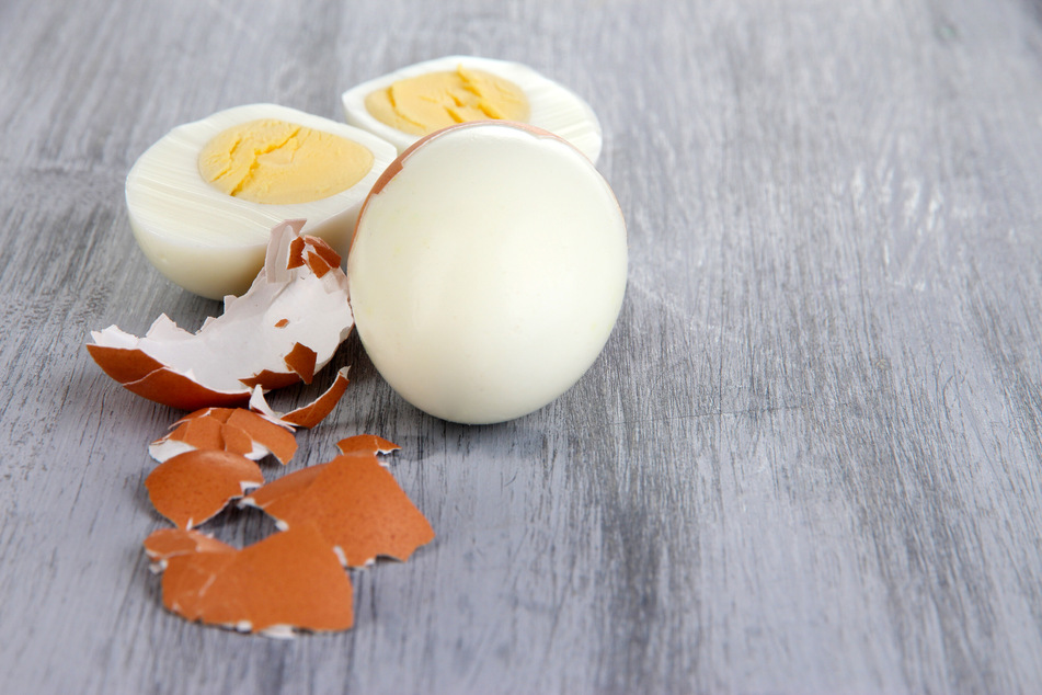 Gekochte Eier können ein nahrhafter Futterzusatz sein - auch wegen der Schale.