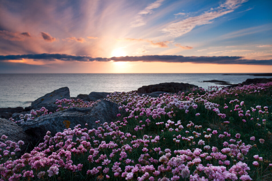 Sonnenuntergang an der Küste von Barra, der größten Insel im Süden der Äußeren Hebriden.