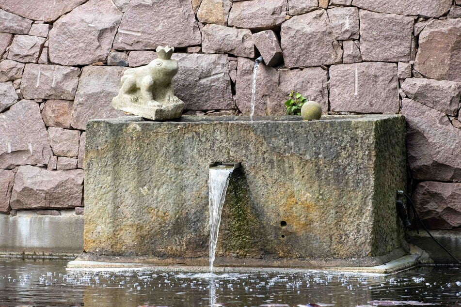 Auch der Froschbrunnen in Niederlößnitz sprudelt wieder dank einer großzügigen Spende des reichen Radebeul-Gönners.