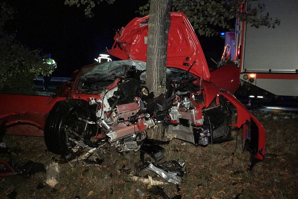 Die Front des Sportwagens wurde durch den Baum quasi geteilt.