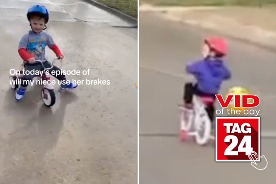 viral videos: Viral Video of the Day for February 6, 2024: Ouch! Little girl slams on bike brakes a little too late