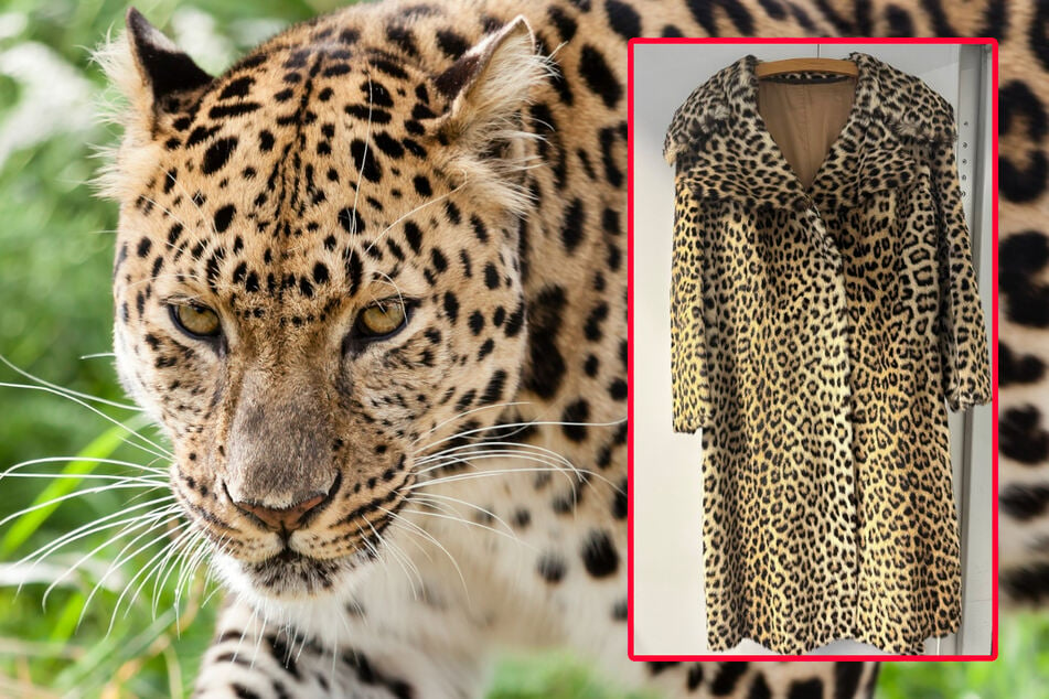 Für den sichergestellten Mantel musste ein Leopard sein Leben lassen.