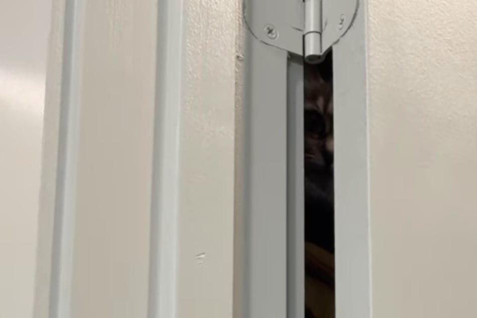 Frau ist im Bad: Plötzlich bemerkt sie, dass sie heimlich angestarrt wird