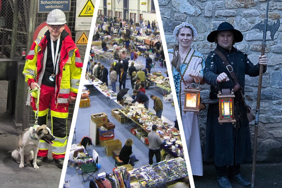 Diese Events für Groß und Klein bietet Magdeburg am Samstag