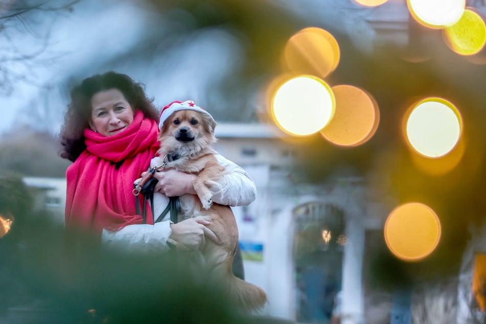 Organisatorin Monika Eckstein-Scheffler (55) und Vierbeiner Bobby freuen sich auf den Hundeweihnachtsmarkt am Leipziger Cottaweg.