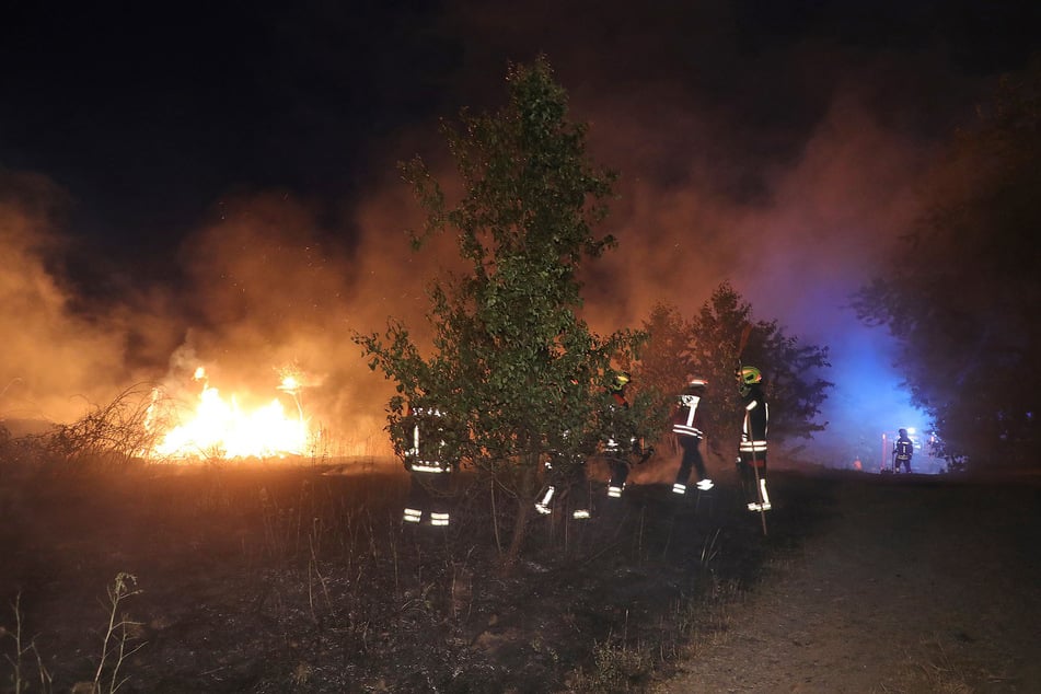 Flammen griffen auf ein neben der A13 gelegenes Feldstück über.