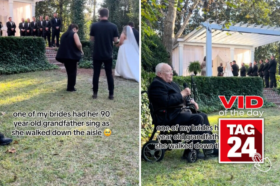 viral videos: Viral Video of the Day for November 10, 2023: Bride's 90-year-old grandfather sings Elvis on her wedding day!