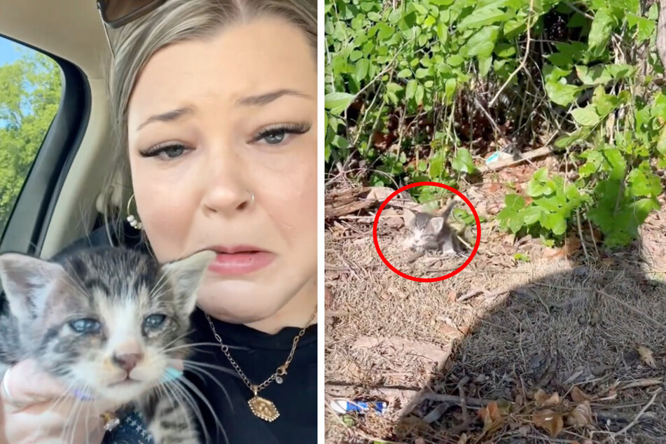 Maci Raney (l.) konnte kaum glauben, was für ein winziges Kätzchen da auf sie zulief, als hätte es auf sie gewartet.