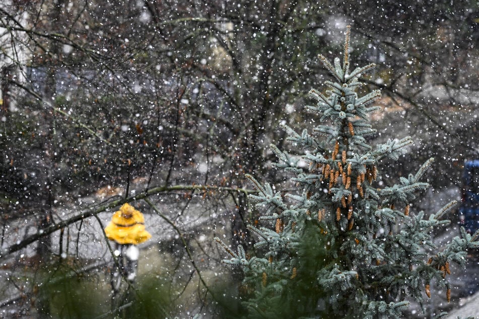 Frostig-Wetter lässt Berlin und Brandenburg bibbern: Es wird glatt!