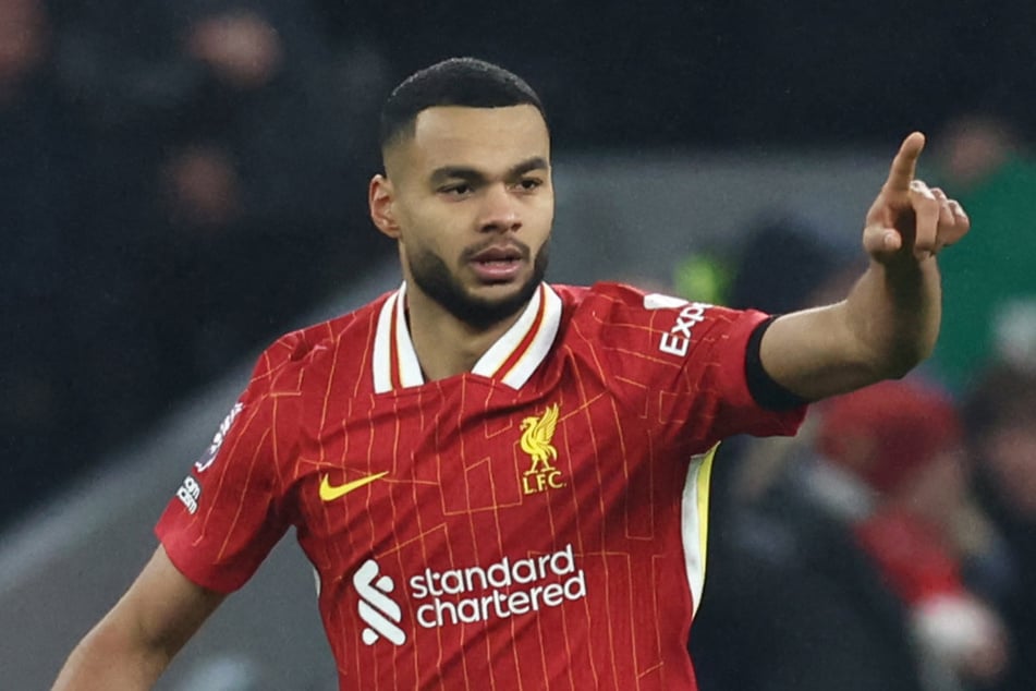 Von den Reds zu den Roten? Liverpools Cody Gakpo (26) scheint ganz konkret auf dem Radar der Bayern zu sein.