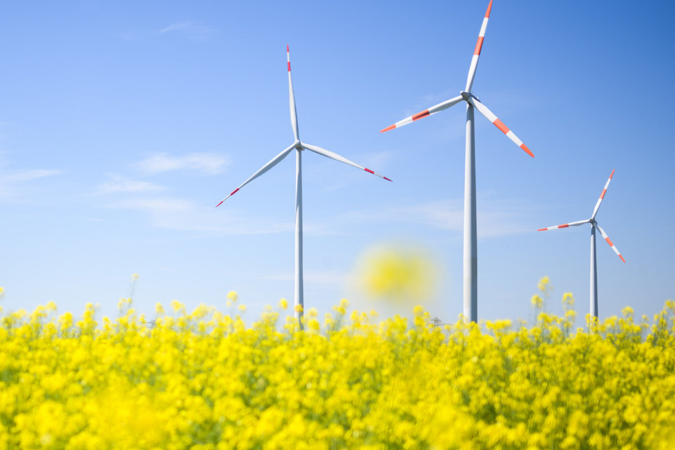 No power of nature: In Bayern hinkt der Ausbau der erneuerbaren Energien laut Experten vor allem an unnötigen Debatten, zu hohen Pachtpreisen und Papierkram.