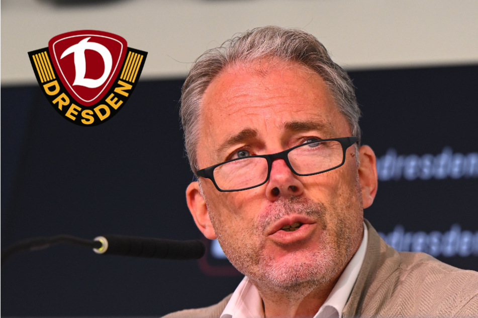 Dynamo Dresden: Gespräche mit Geschäftsführer-Kandidaten starten
