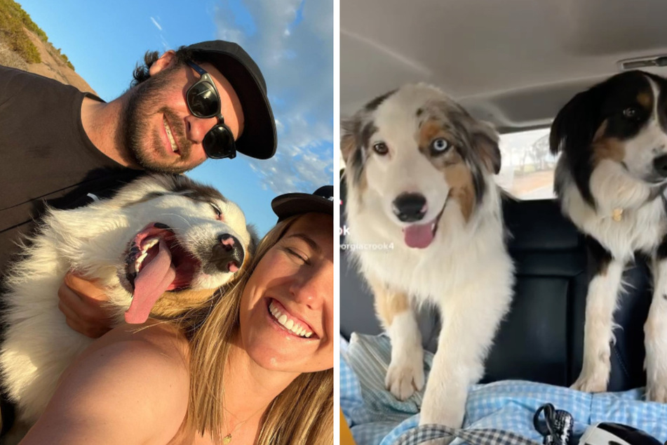 Georgia Crook, Ash Bowmann und ihre beiden Hunde Mushu und Tilly waren eine kleine, glückliche Familie. Ein fataler Strandbesuch zerstörte dieses Glück.