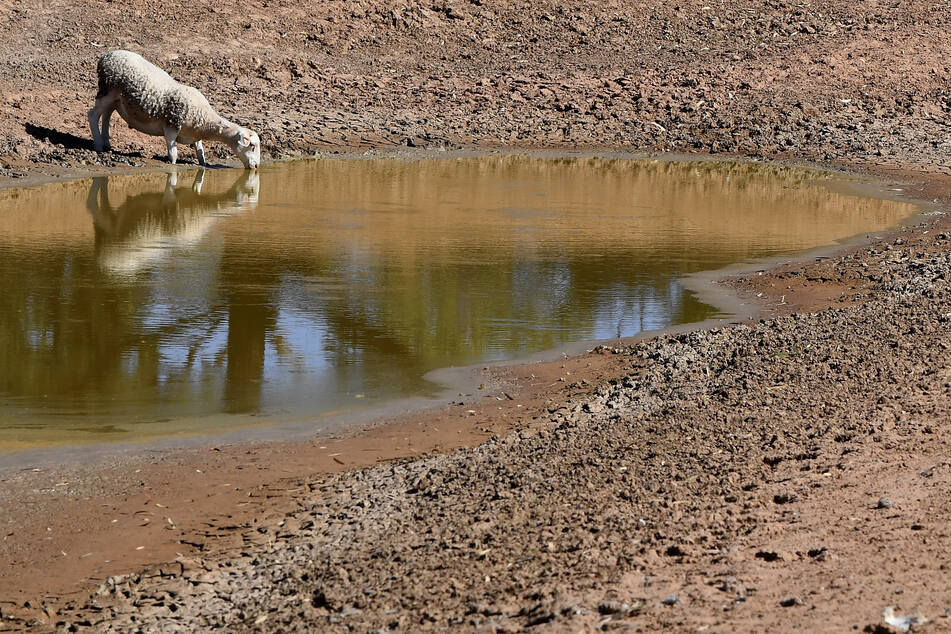 Dürren und Überschwemmungen könnte das Klimaphänomen mit sich bringen. (Archivbild)